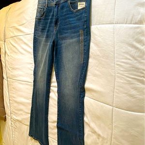 American Eagle plus size jeans